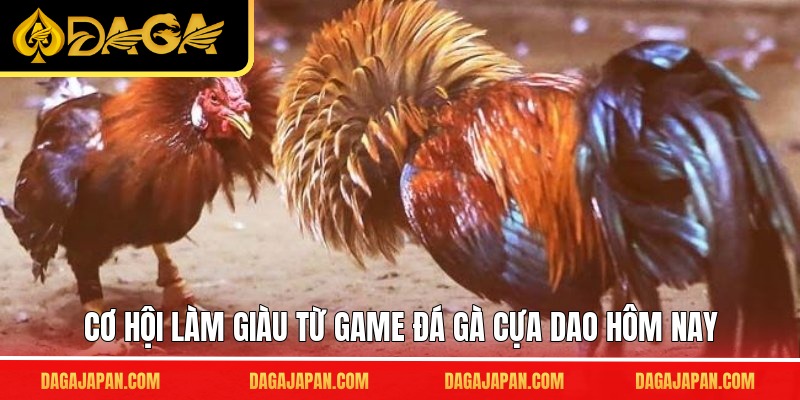 Cơ hội làm giàu từ game đá gà cựa dao hôm nay
